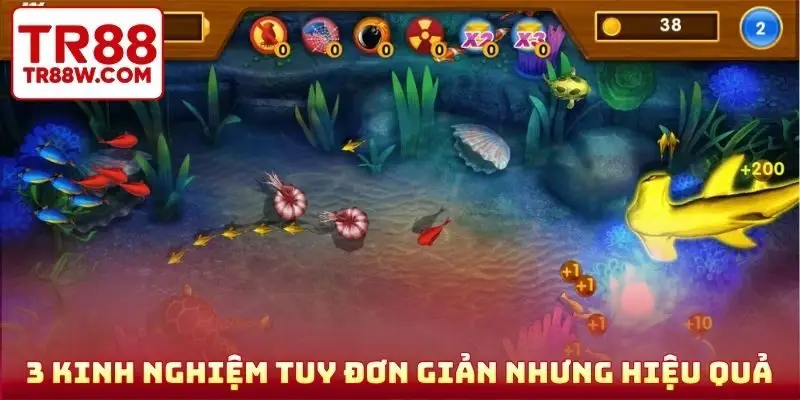3 kinh nghiệm tuy đơn giản nhưng hiệu quả