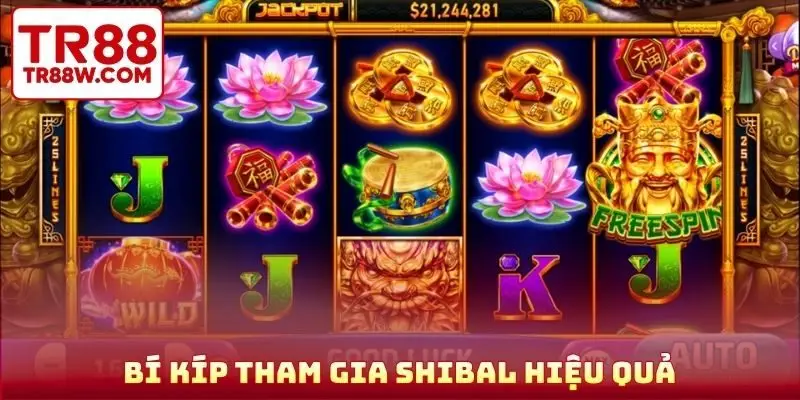Bí kíp tham gia Shibal hiệu quả