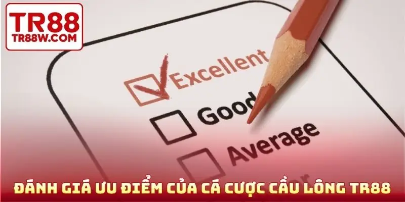Đánh giá ưu điểm của cá cược cầu lông TR88