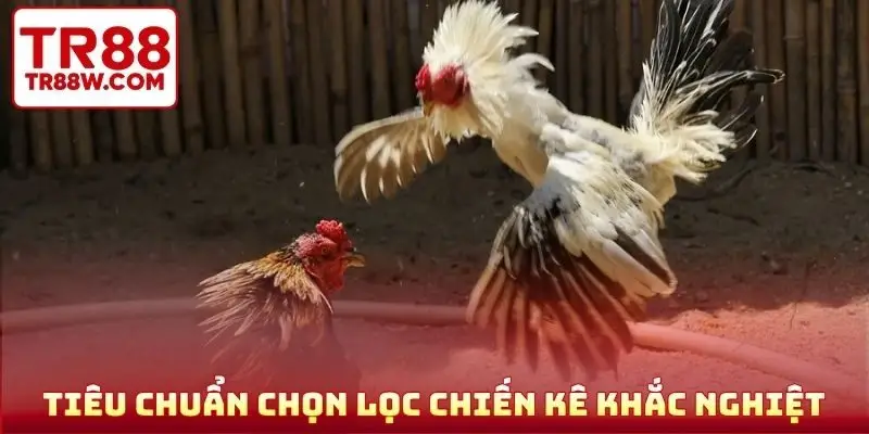 Học qua tiêu chuẩn chọn lọc chiến kê khắc nghiệt