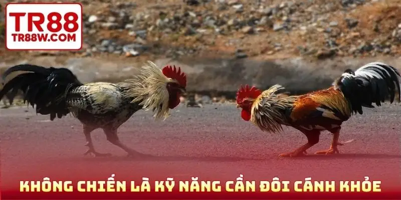 Không chiến là kỹ năng cần đôi cánh khỏe