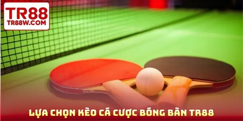Lựa chọn kèo cá cược bóng bàn TR88