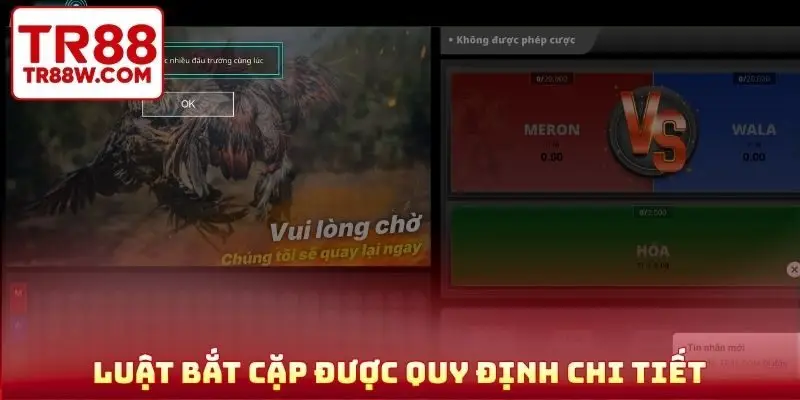 Luật bắt cặp được quy định chi tiết