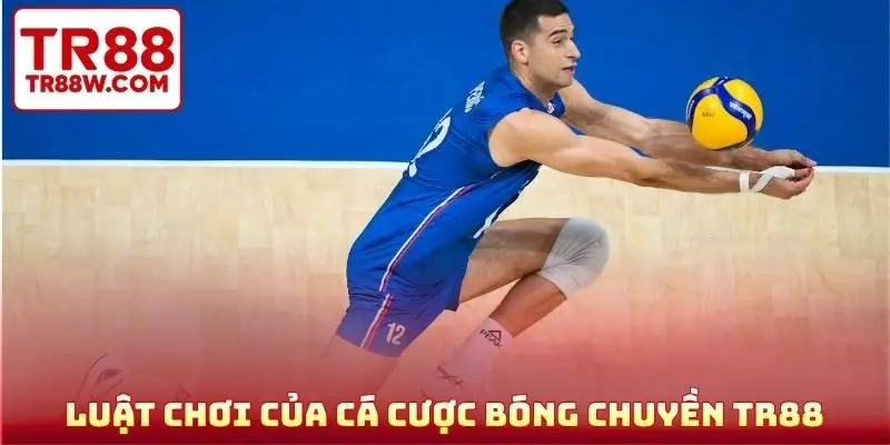 Luật chơi của cá cược bóng chuyền TR88