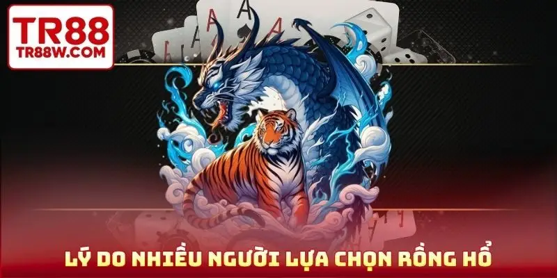 Lý do nhiều người lựa chọn Rồng Hổ
