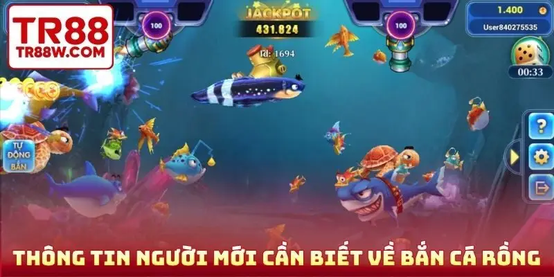 Thông tin cơ bản người mới cần biết về bắn cá rồng