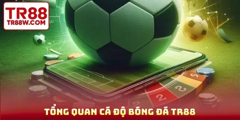Tổng quan cá độ bóng đá TR88